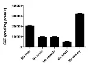 abcam Glucose-6-Phosphate Assay Kit - High Sensitivity (Fluorometric)