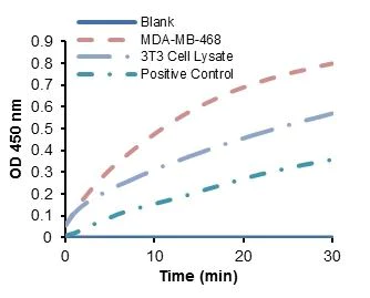 abcam Glyceraldehyde 3 Phosphate Dehydrogenase Activity Assay Kit (Colorimetric)