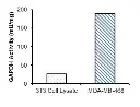abcam Glyceraldehyde 3 Phosphate Dehydrogenase Activity Assay Kit (Colorimetric)