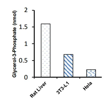 abcam Glycerol-3-phosphate (G3P) Assay Kit (Colorimetric)
