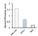 abcam Glycerol-3-phosphate (G3P) Assay Kit (Colorimetric)