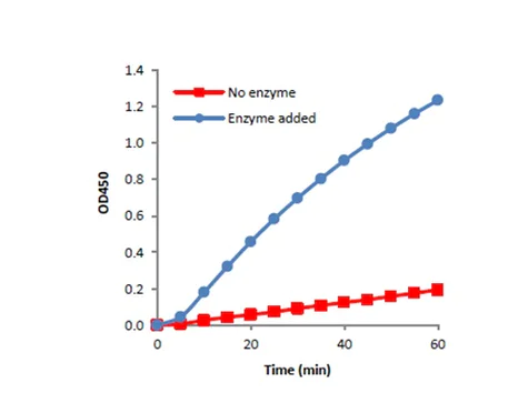 abcam Glycogen Phosphorylase Assay Kit (Colorimetric)