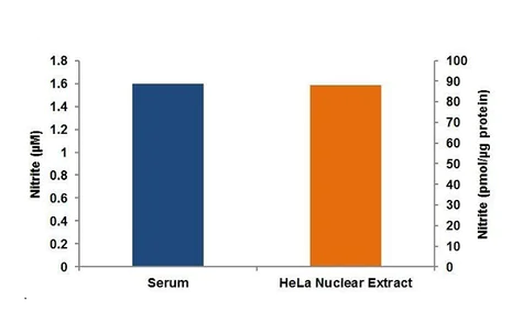 abcam Griess reagent