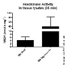 abcam Hexokinase Activity Assay Kit (Colorimetric)