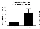 abcam Hexokinase Activity Assay Kit (Colorimetric)