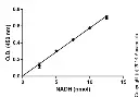 abcam Hexokinase Activity Assay Kit (Colorimetric)