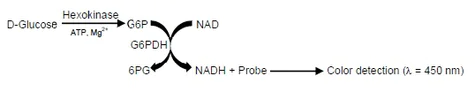 abcam Hexokinase Activity Assay Kit (Colorimetric)