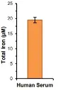 abcam Iron Assay Kit (Colorimetric)