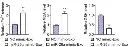 abcam Iron Assay Kit (Colorimetric)