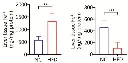 abcam Iron Assay Kit (Colorimetric)