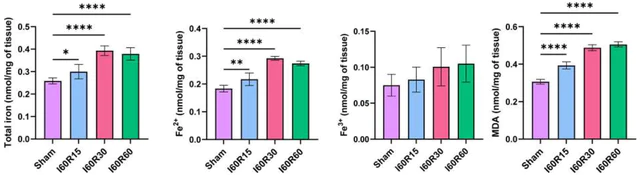 abcam Iron Assay Kit (Colorimetric)