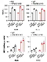 abcam Iron Assay Kit (Colorimetric)
