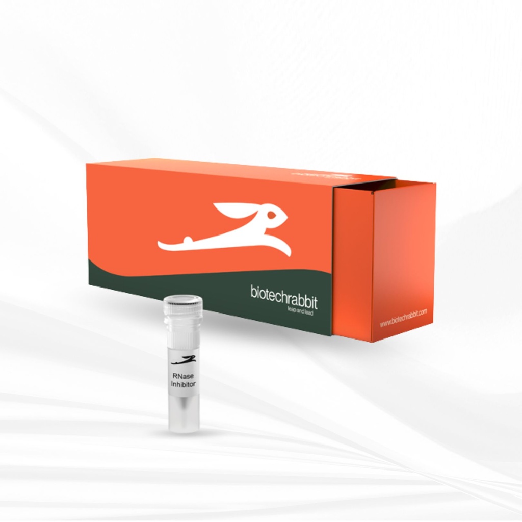 biotechrabbit RNase Inhibitor, 40 U/µl