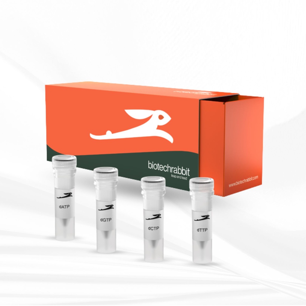 biotechrabbit dNTP Set 250 µl (4 × 100 mM solutions)