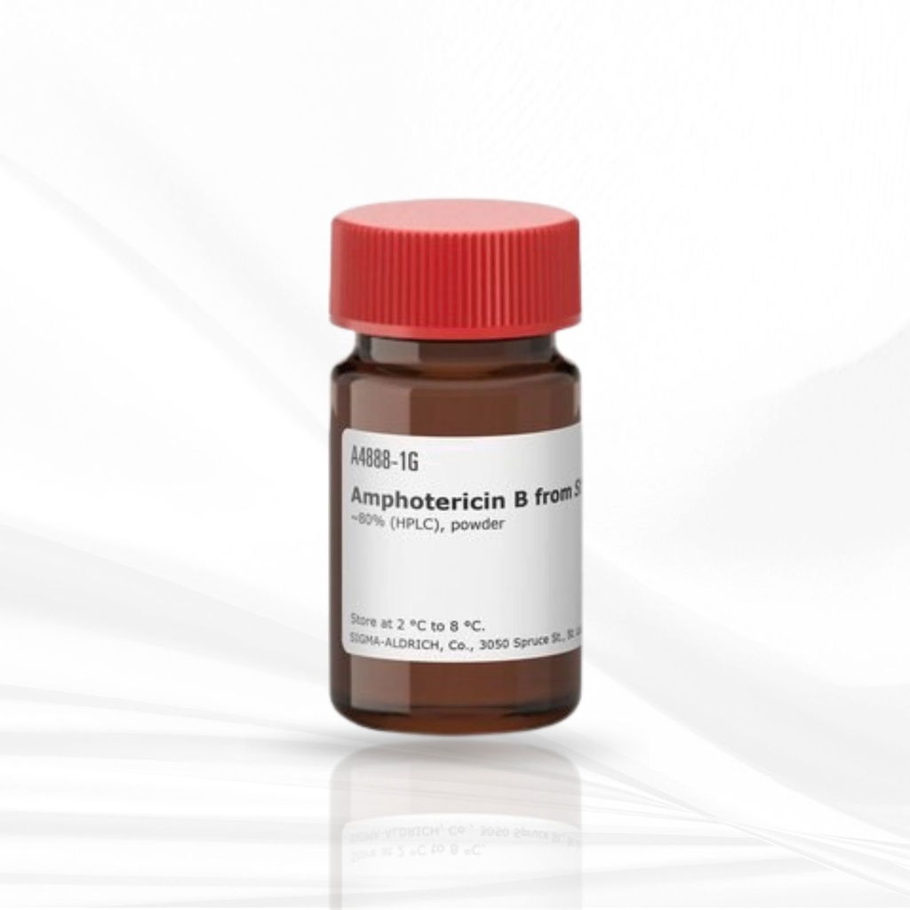 Merck Amphotericin B