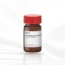 Merck Amphotericin B