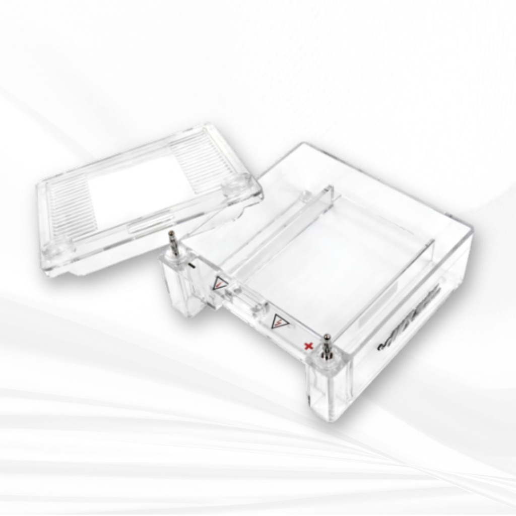 Mini Horizontal Gel Electrophoresis System