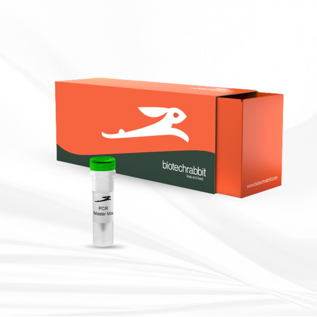 biotechrabbit 2X Green PCR Master Mix Direct-Load