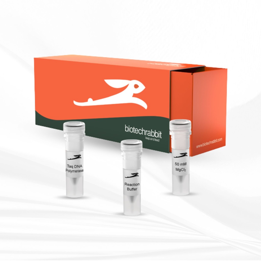 biotechrabbit Taq DNA Polymerase, 5 U/µl
