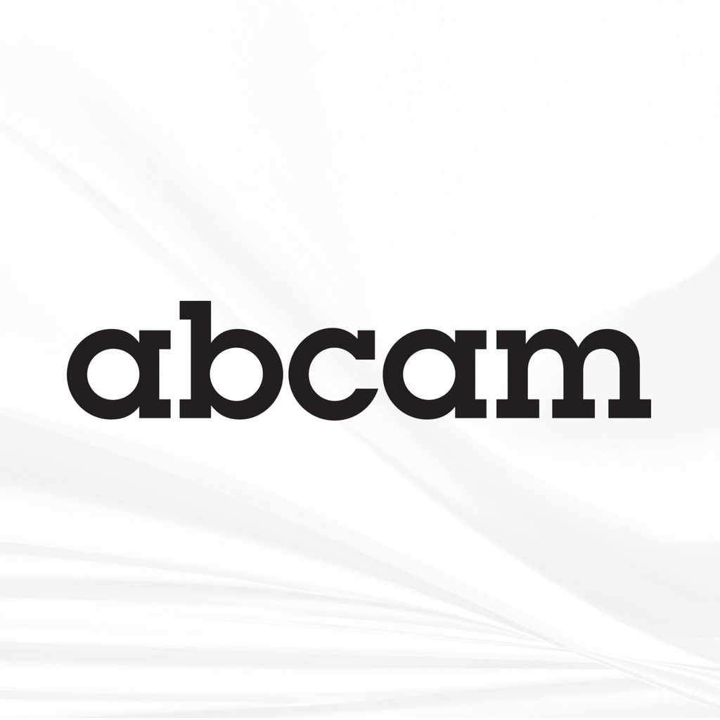 abcam DNase I Assay Kit (Fluorometric)