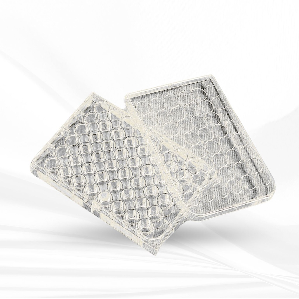 Corning® CellBIND® 48-well Multiple Well Plates, Flat Bottom, Clear, with Lid, Sterile
