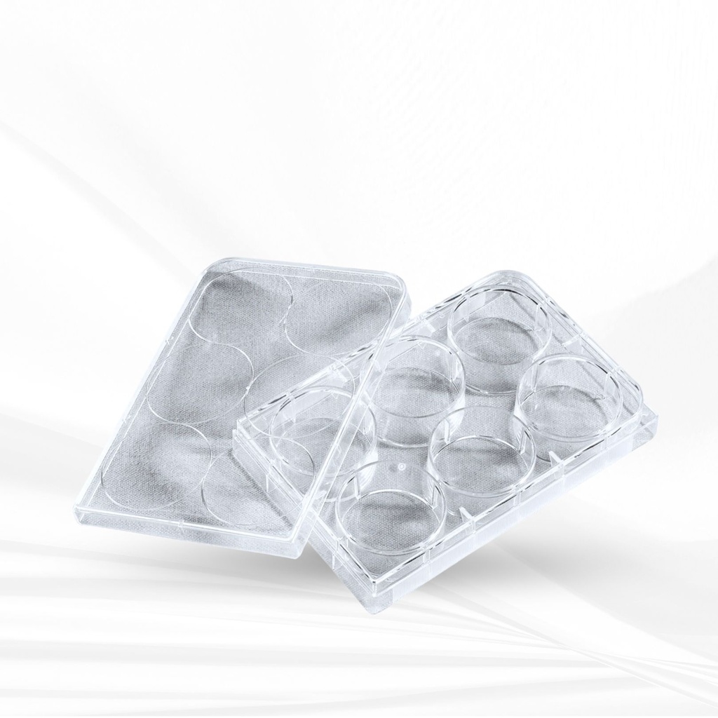 Corning® 6-well Clear Not Treated Multiple Well Plates, Bulk Packed, Sterile