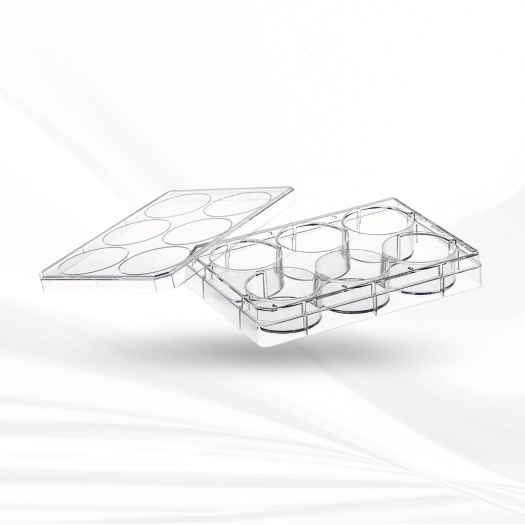 Corning® 6 Well Clear, Tissue Culture-Treated Multiple Well Plater with Lid, Sterile, Individually Wrapped  50pcs/box