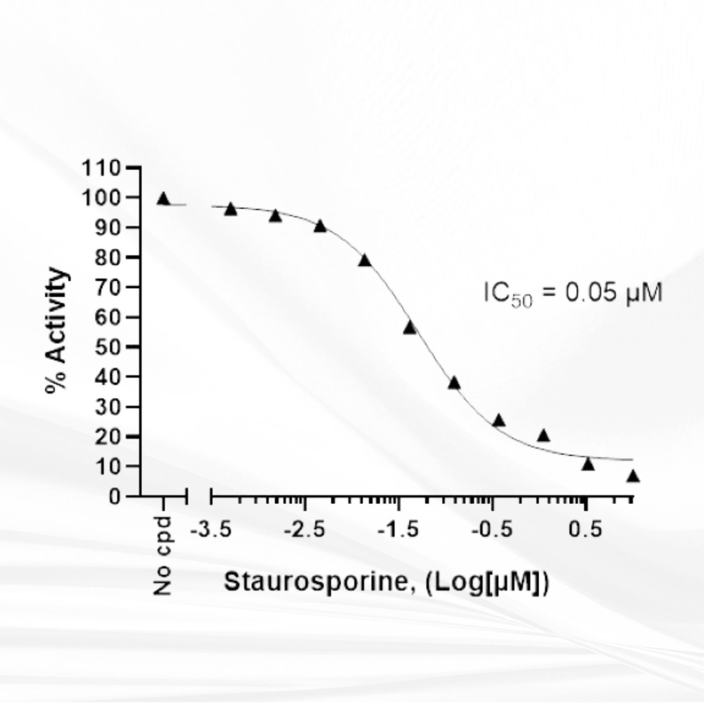 Chemi-Verse™ ERK2 Kinase Assay Kit, 96 reactions