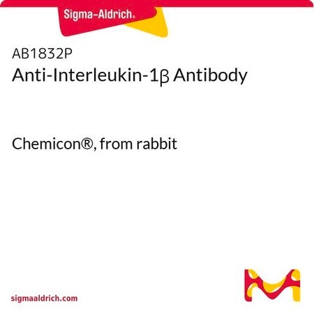 Sigma-Aldrich® Anti-Interleukin-1β Antibody, 50 ug