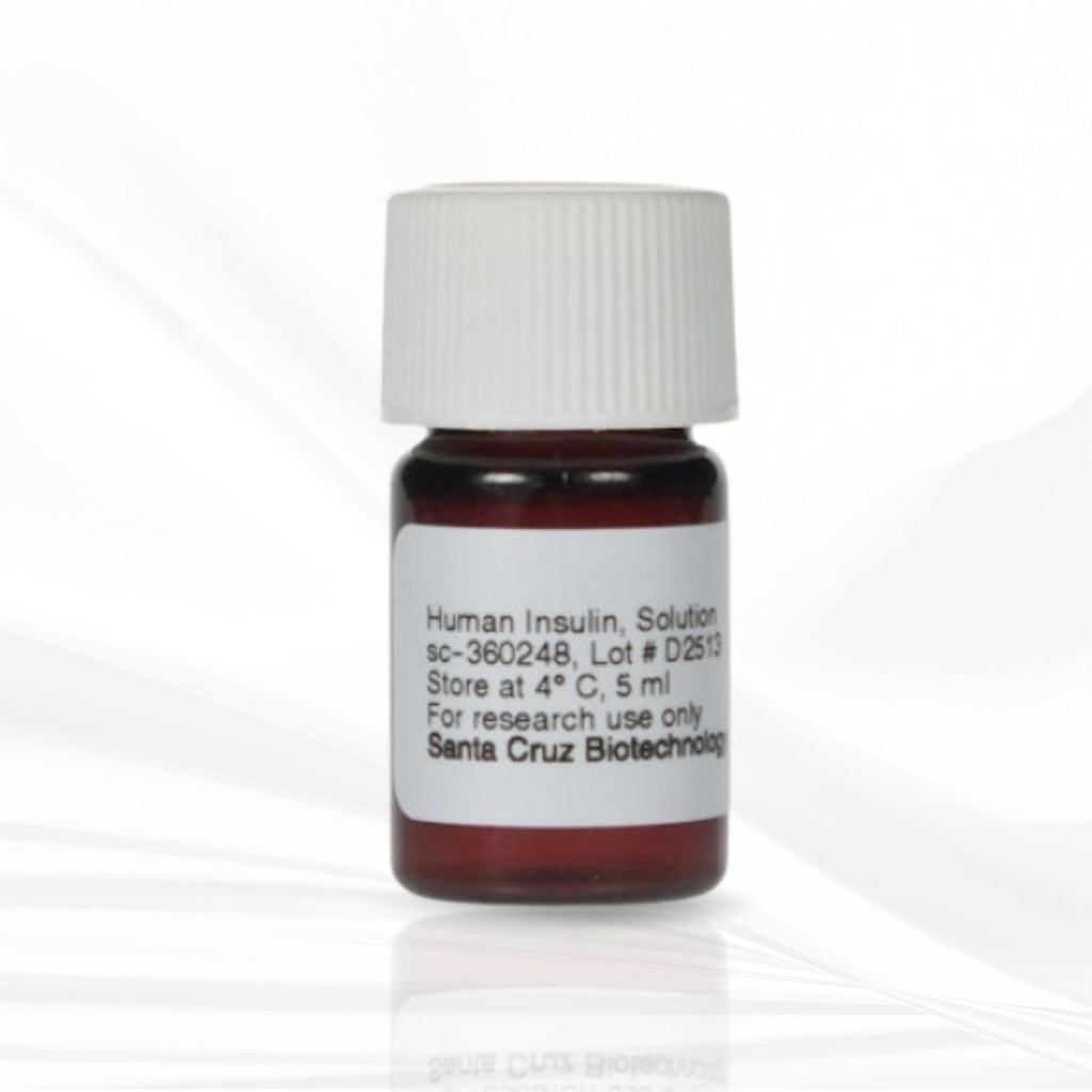 Human Insulin, Solution, 5 ml ,santa cruz biotechnology
