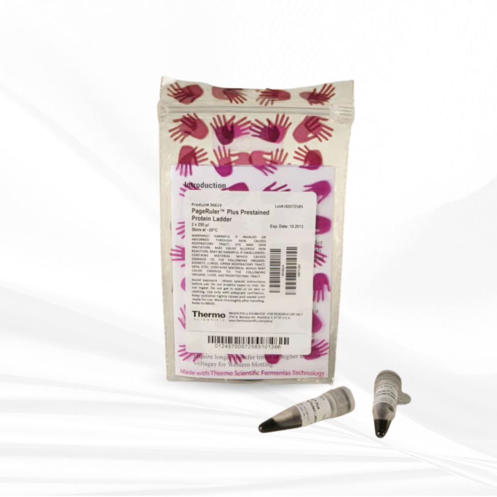 Thermo Scientific™ PageRuler™ Plus Prestained Protein Ladder, 10 to 250 kDa