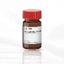 Sigma-aldich® bisBenzimide H 33342 trihydrochloride ≥98% purity (HPLC and TLC), powder, 100MG