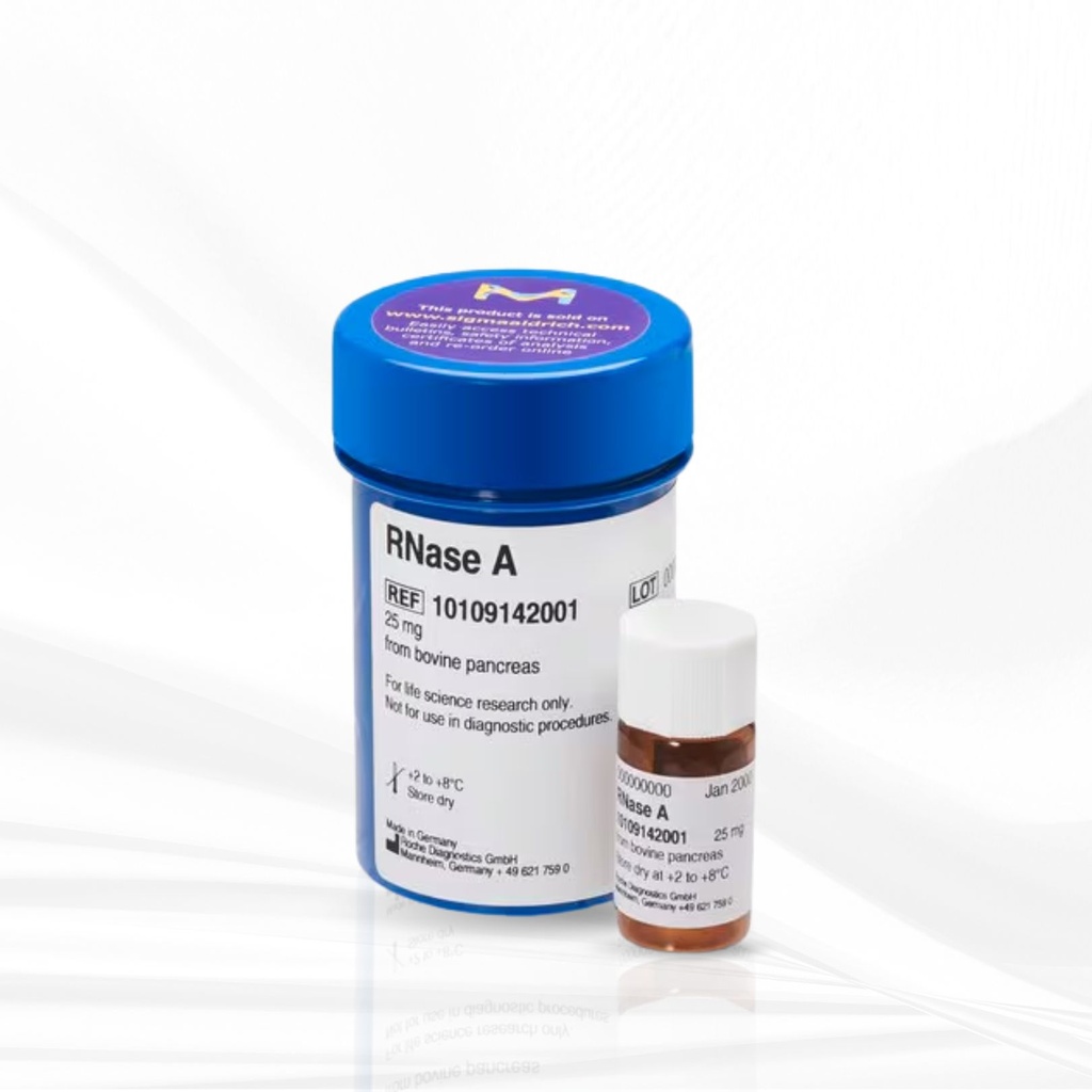 RNase A from bovine pancreas 25 mg , Roche