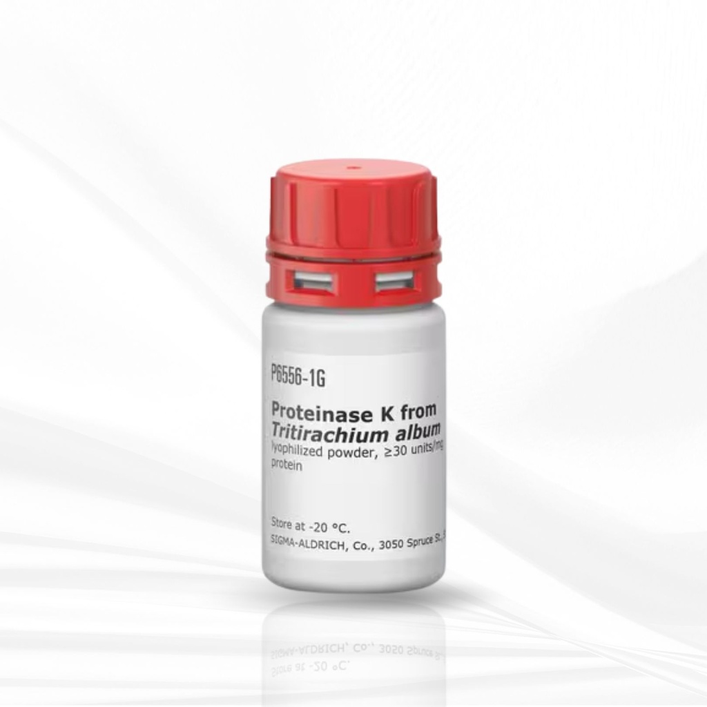 Sigma-Aldrich® Proteinase K from Tritirachium album 