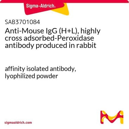 Sigma-Aldrich® Anti-Mouse IgG (H+L), highly cross adsorbed-Peroxidase antibody produced in rabbit