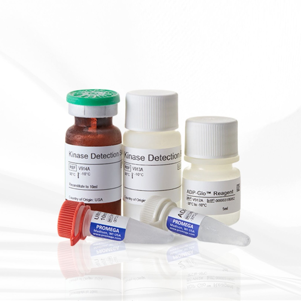 Promega™ ADP-Glo™ Kinase Assay  400 assays