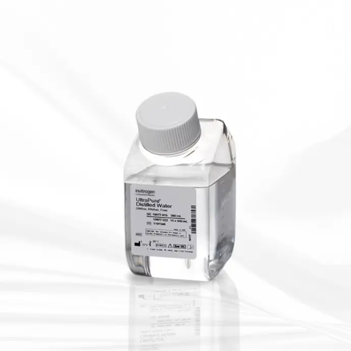 Invitrogen™ UltraPure™ DNase/RNase-Free Distilled Water