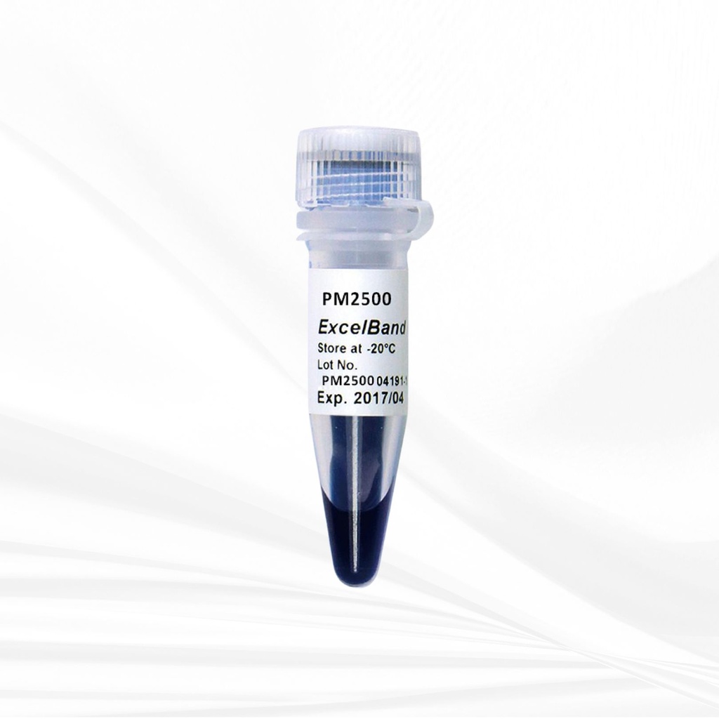 ExcelBand™ 3-color Regular Range Protein Marker (9-180 kDa), 250 μl x 2
