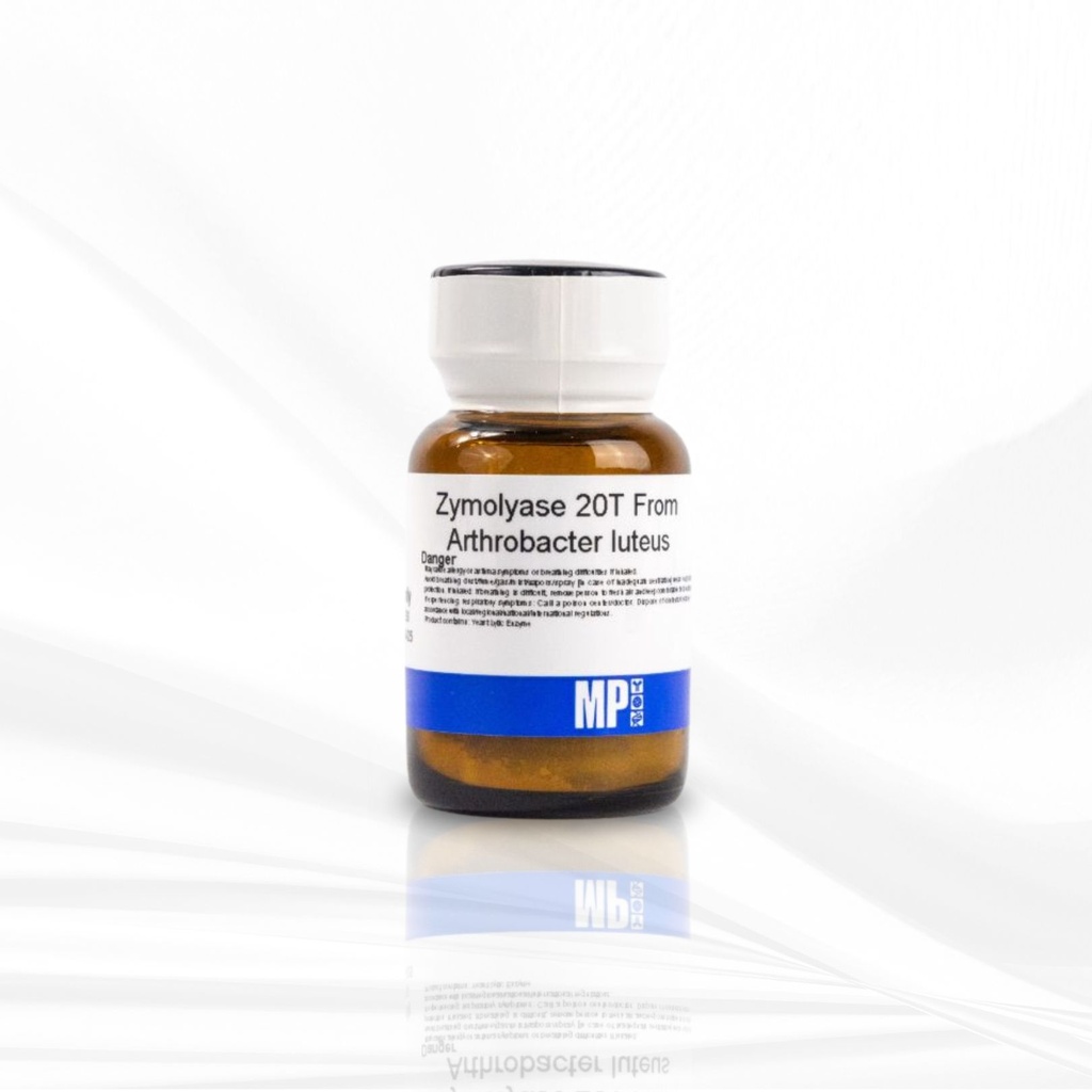 MP Biomedicals™  Zymolyase, 20T from Arthrobacter luteus, 1 g