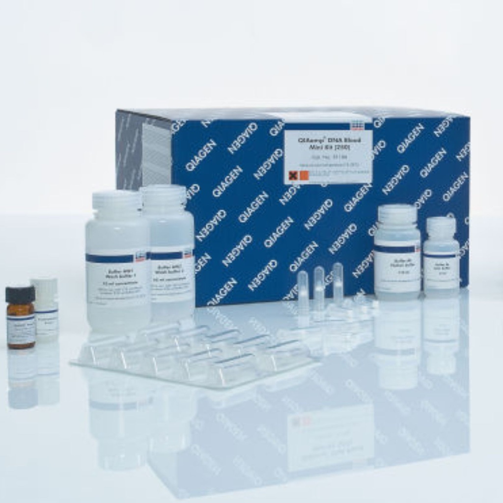 QIAGEN QIAamp DNA Blood Mini Kit (250)