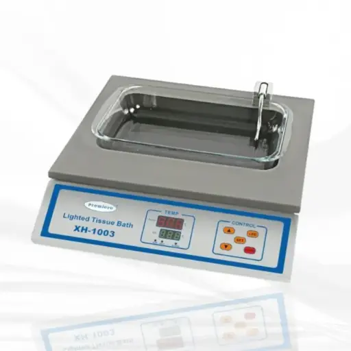 Lighted tissue floating bath XH-1003D2