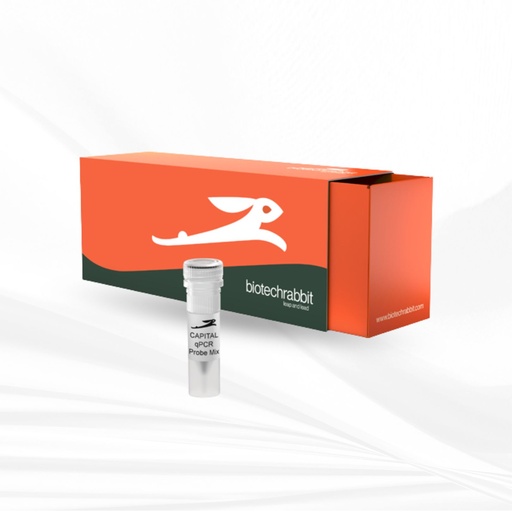 [MT-MC-BR0501900] biotechrabbit 4X CAPITAL™ qPCR Green Master Mix HROX