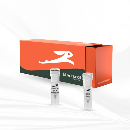 [MT-MC-BR0502100] biotechrabbit 4X CAPITAL™ 1-Step qRT-PCR Probe Master Mix LROX