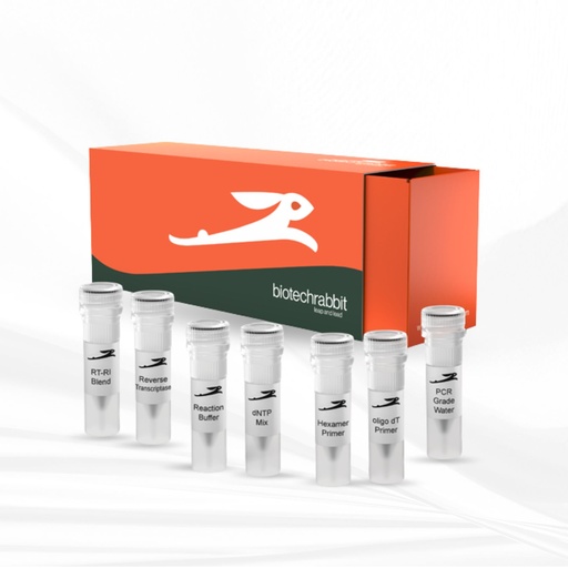 [MT-CM-BR0400401] biotechrabbit cDNA Synthesis Kit