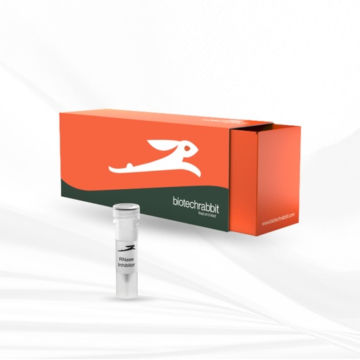 [MT-CM-BR0400900] biotechrabbit RNase Inhibitor, 40 U/µl
