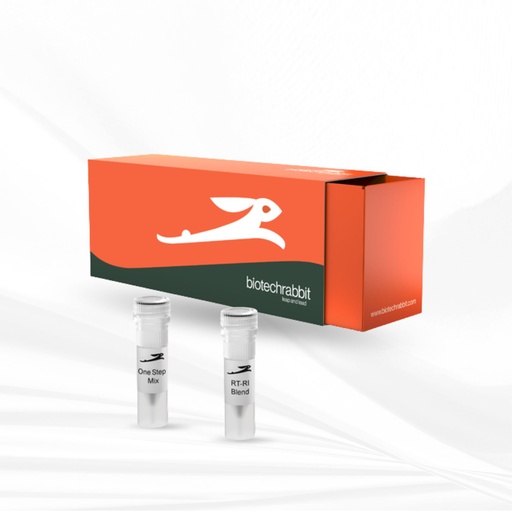 biotechrabbit 1-Step RT-PCR Master Mix