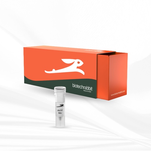 [MT-CM-BR0600200] biotechrabbit dNTP Mix (10 mM each) 