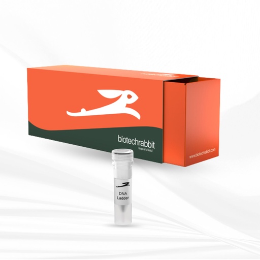 biotechrabbit 6X DNA Loading Dye