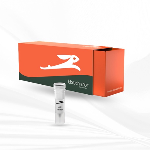 [MT-CM-BR1402701] biotechrabbit RTS pIX3.0 Vector