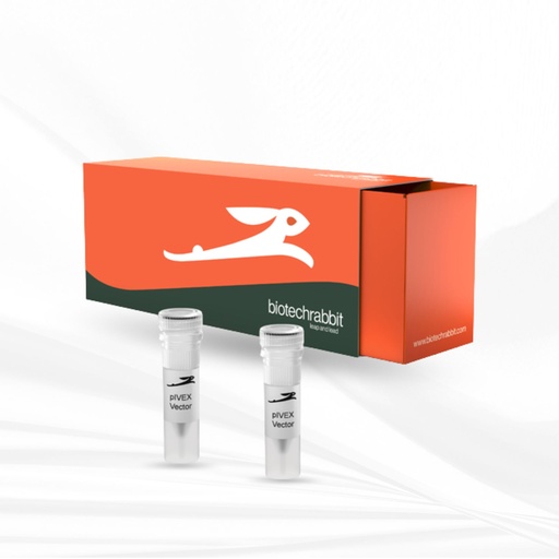 [MT-CM-BR1400701] biotechrabbit RTS pIVEX E. coli His-tag, 2nd Gen. Vector Set